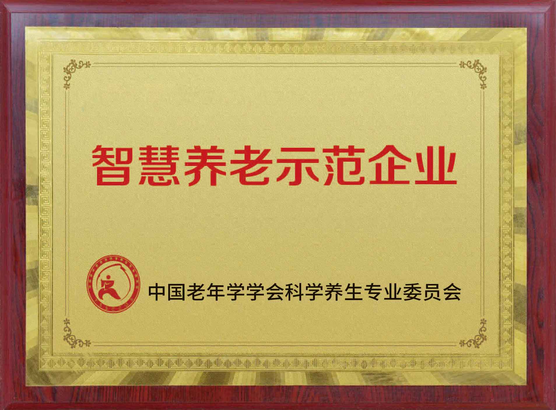 智慧养老树模企业