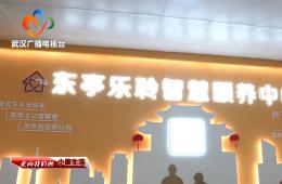 中宣部采访团到访武汉东亭社区金狮贵宾会智慧颐养中心