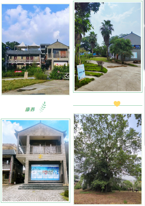 金狮贵宾会·宾至如归-尊贵显赫